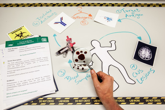 <b>Crime scene: working in the lab</b>