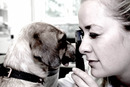 <b>Erster Preis: Direkte Ophthalmoskopie - Betrachtung der caninen Netzhaut</b>
